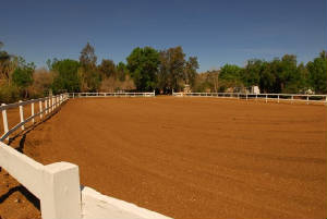 LAKEVIEW FARMS TRAINING RING