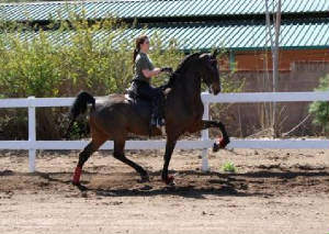 KYLIE AND "BILLY" IN A LESSON