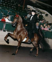 STONECROFT MOULIN ROUGE