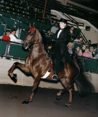 Catherine and Moulin Rouge at Del Mar